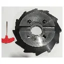 Untitled design (1).webp