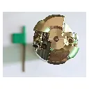 Untitled design (1).webp