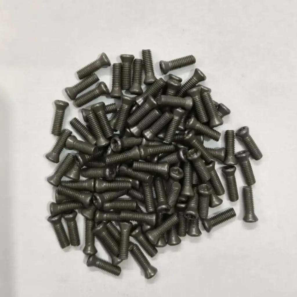 Torx Screw 3*10 Standard