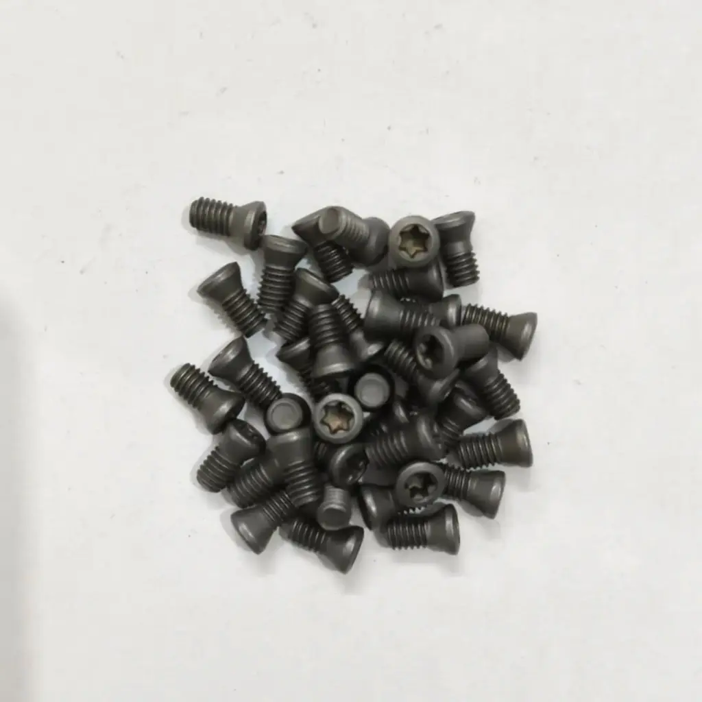 Torx Screw 4*8