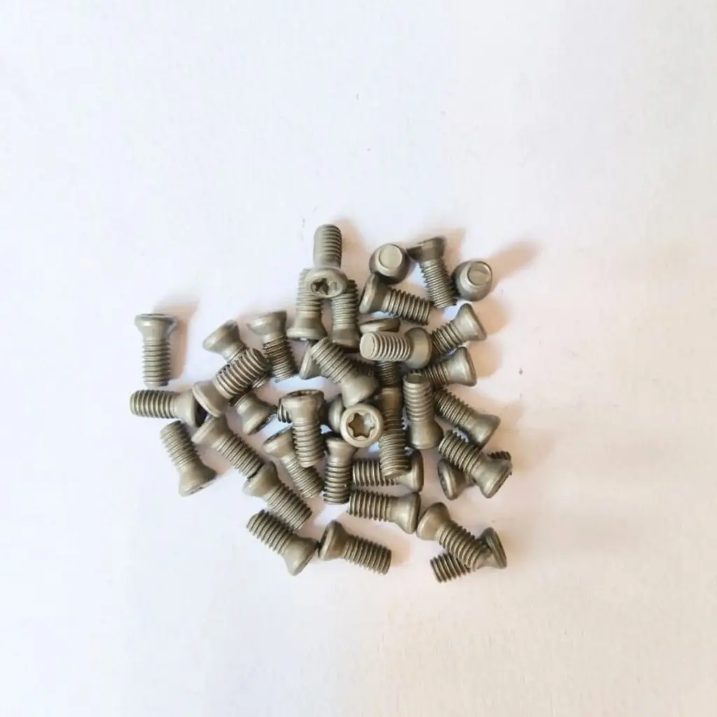 Torx Screw 4*10 Standard (Pack of 100)