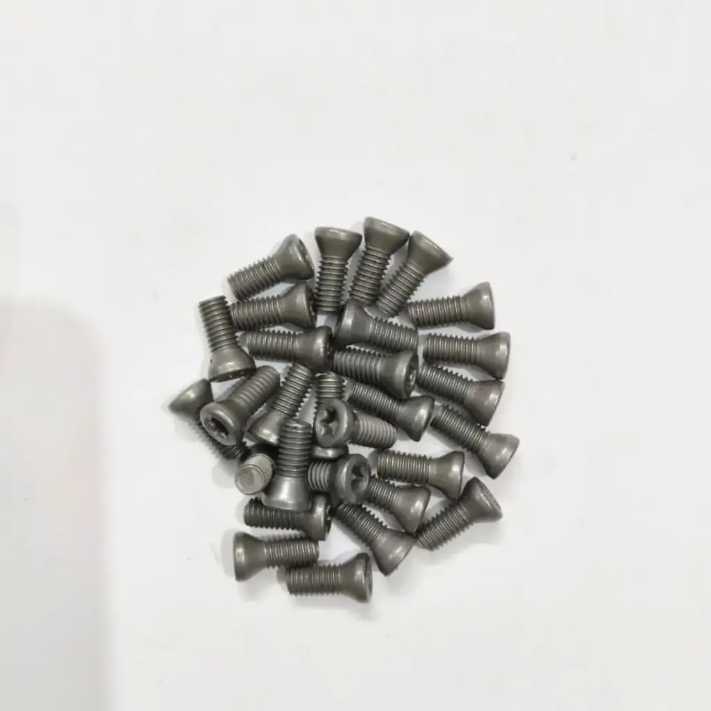 Torx Screw 4.5*12