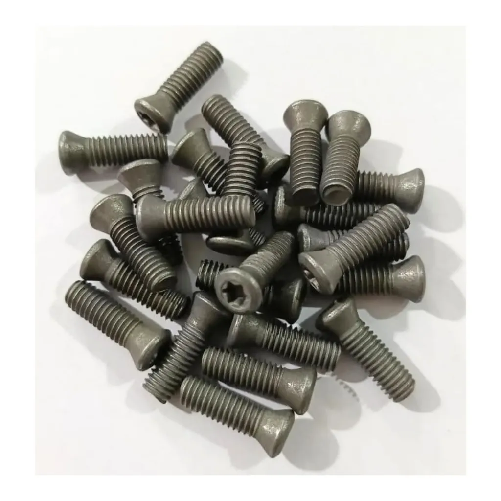 Torx Screw 6*25 Standard