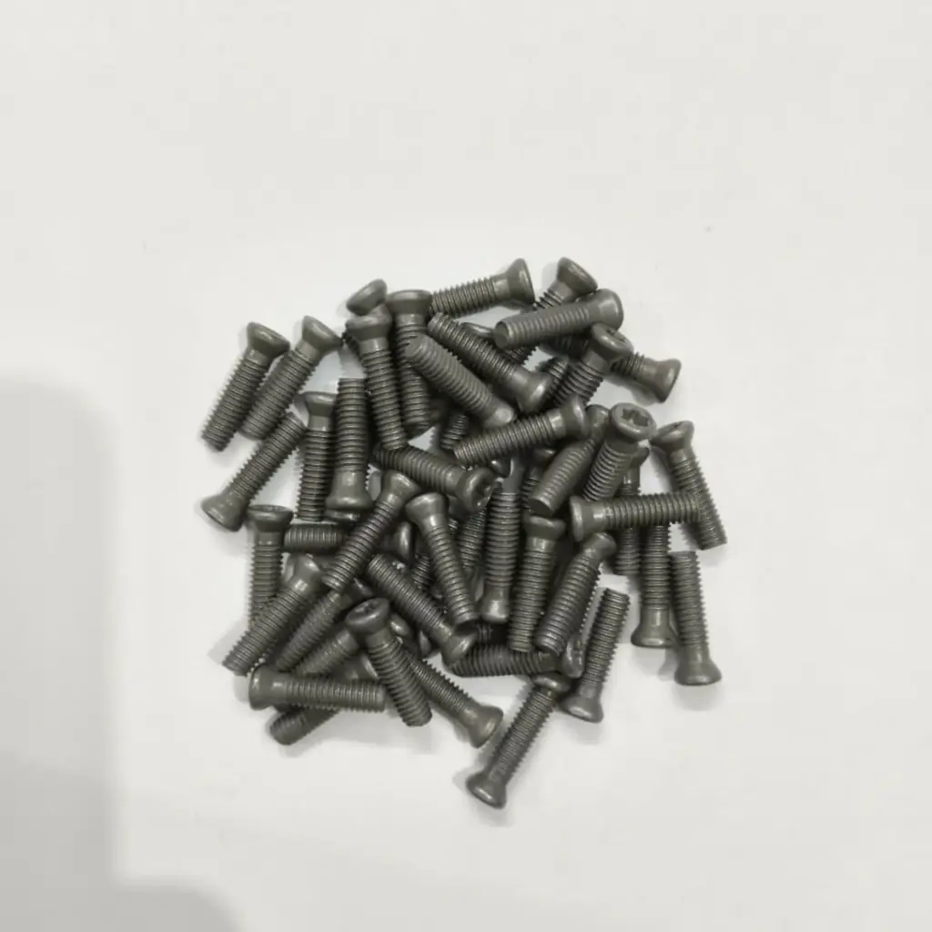 Torx Screw 4*16