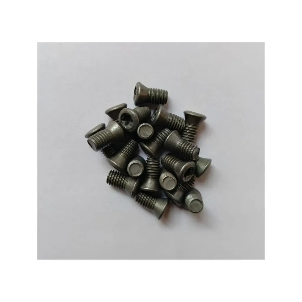 Torx Screw 5*10 Standard