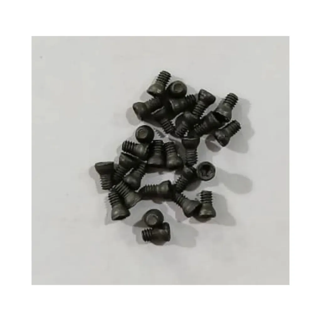 Torx Screw 2*4 Premium (Pack of 100)