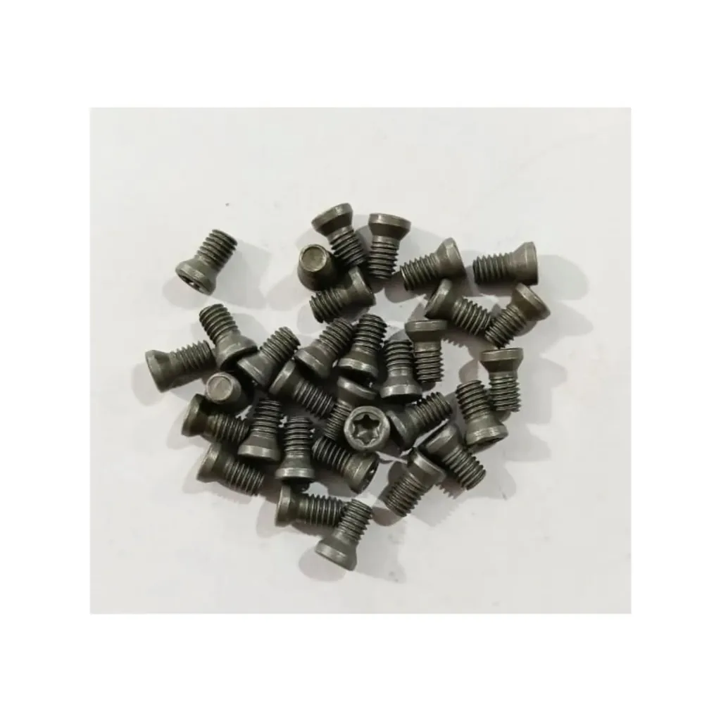 Torx Screw 4*8 Premium