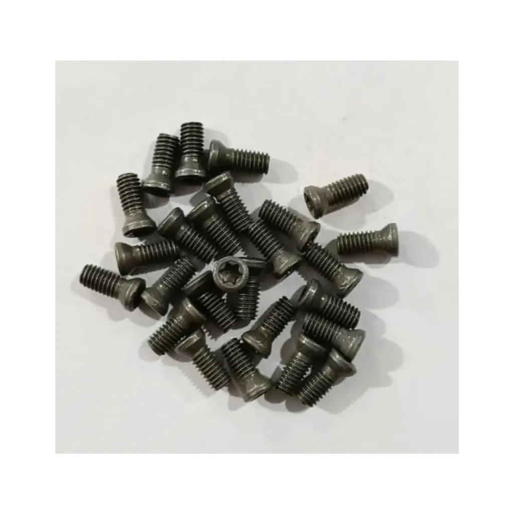 Torx Screw 4*10 Premium