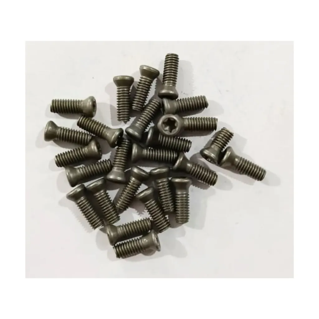 Torx Screw 4*12 Premium (Pack of 100)