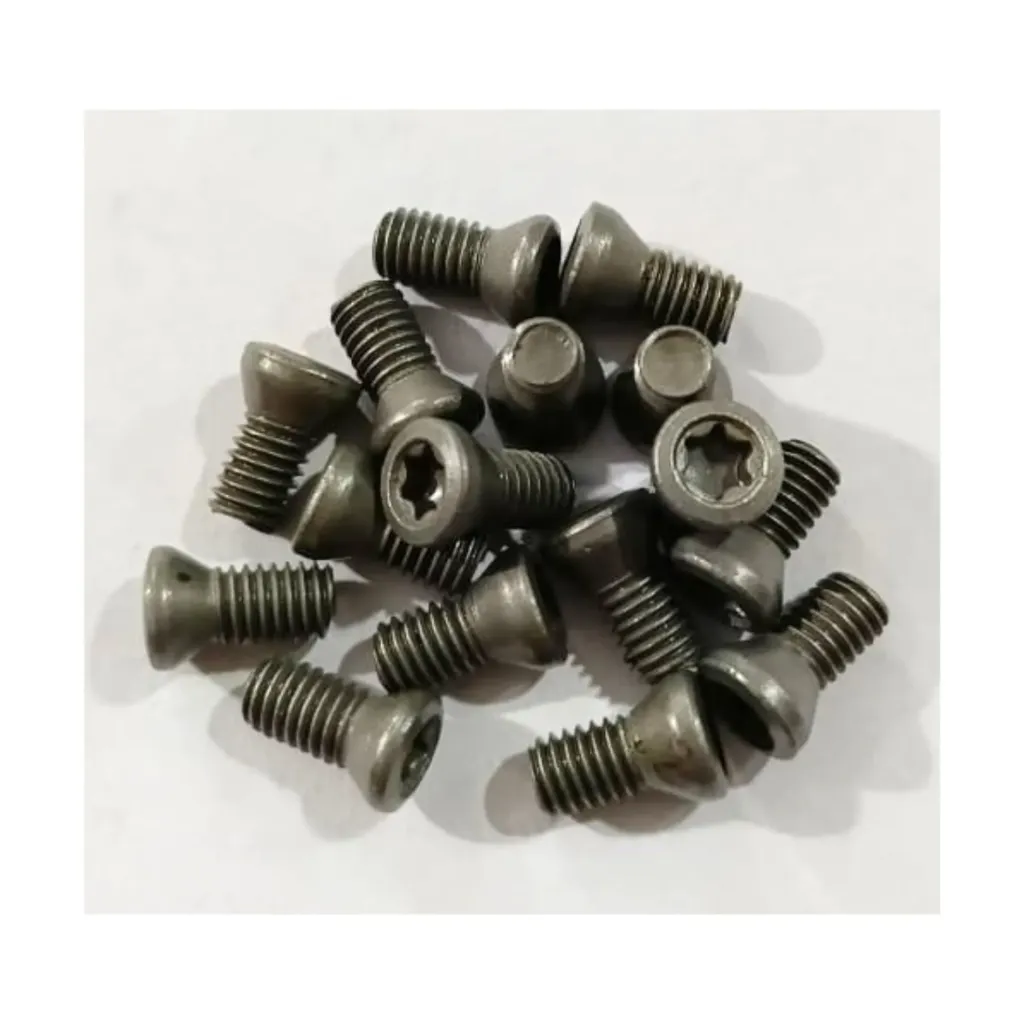 Torx Screw 4.5*10 Premium