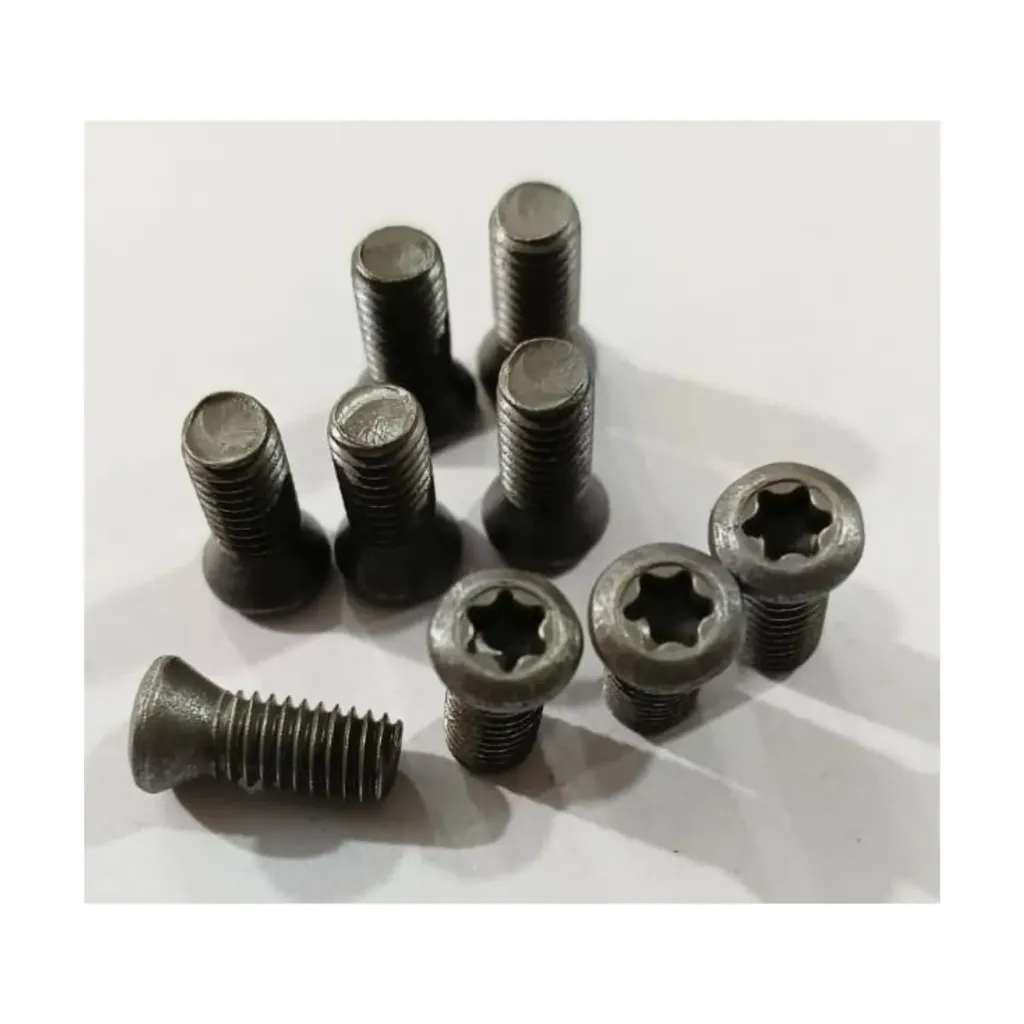 Torx Screw 6*16 Premium