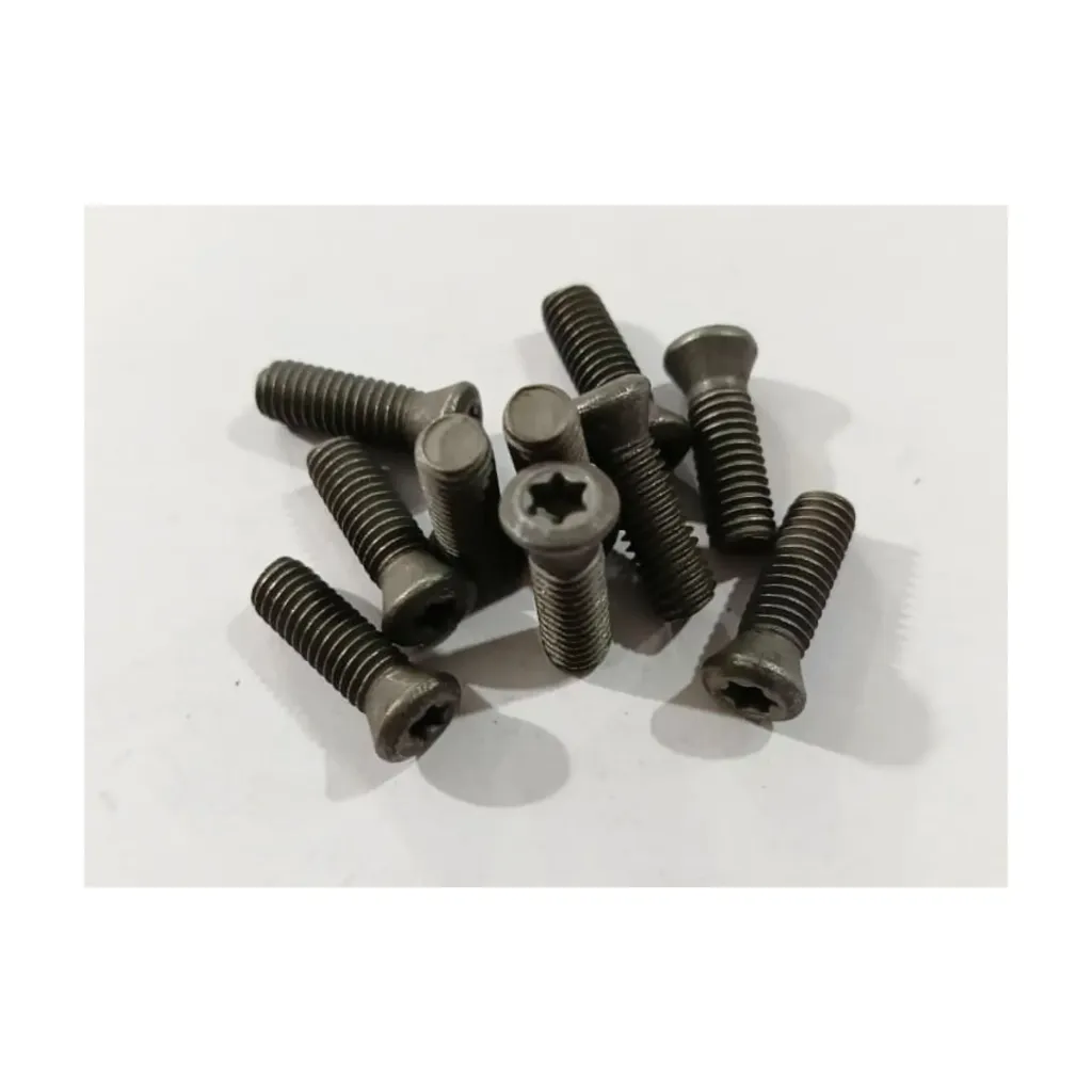 Torx Screw 6*25 Premium (Pack of 100)