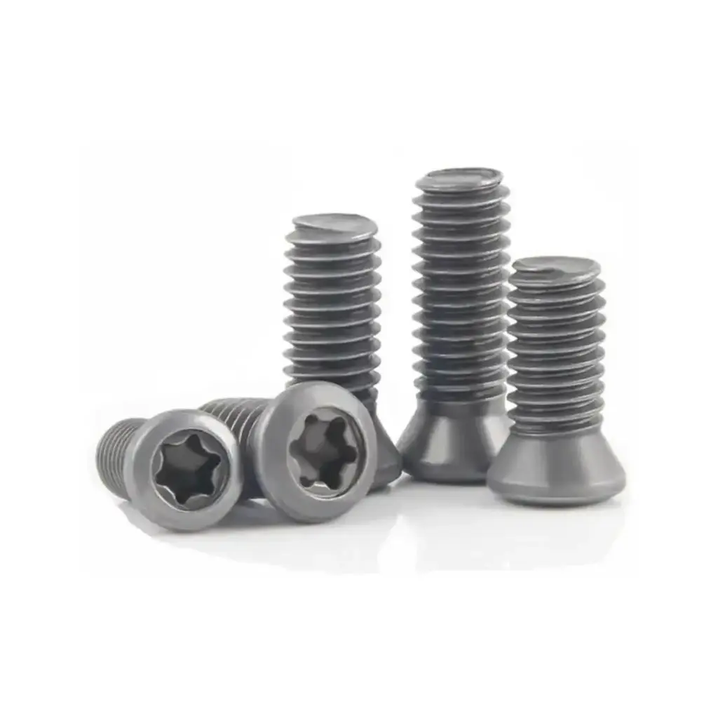 TORX SCREW SCDK (M1.6*3.2*D2.5)