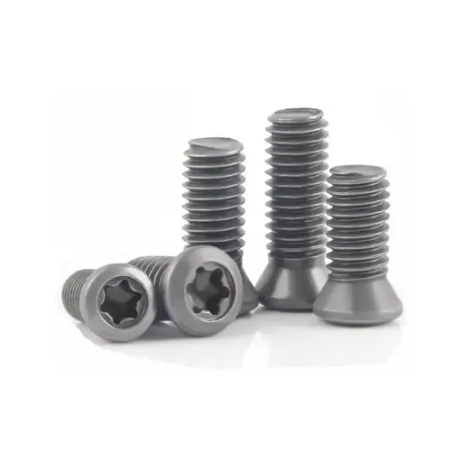 TORX SCREW