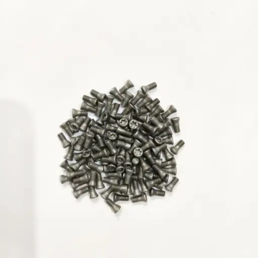 Torx Screw 2.5*6