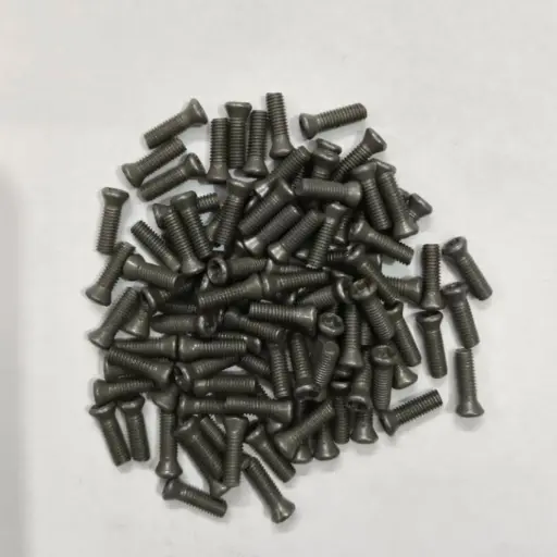 Torx Screw 3*10