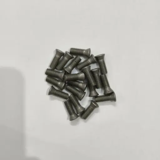 Torx Screw 5*14